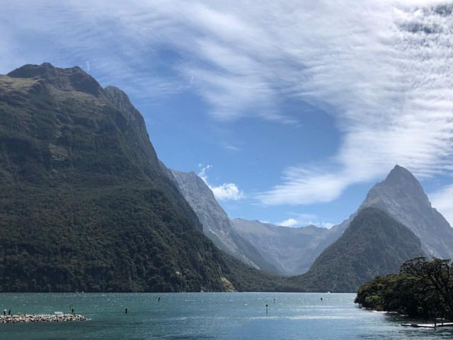 Christmas month in Mildford Sound🇳🇿