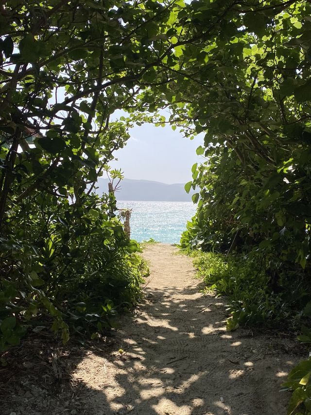 2023年いちばん感動した絶景ビーチ奄美大島の崎原海岸