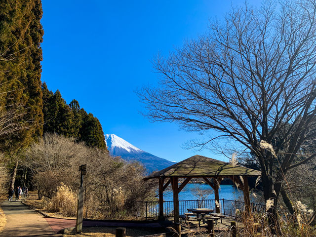 จุดชมวิวทะเลสาบทะนุกิ (Tanuki Lake)