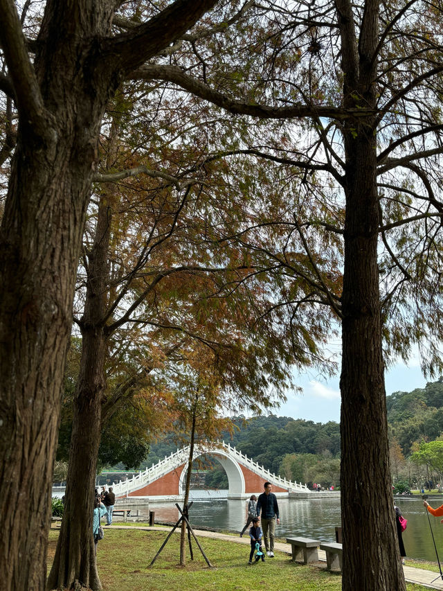 เดินรับไอแดด และชมใบไม้เปลี่ยนสีที่ Dahu Park