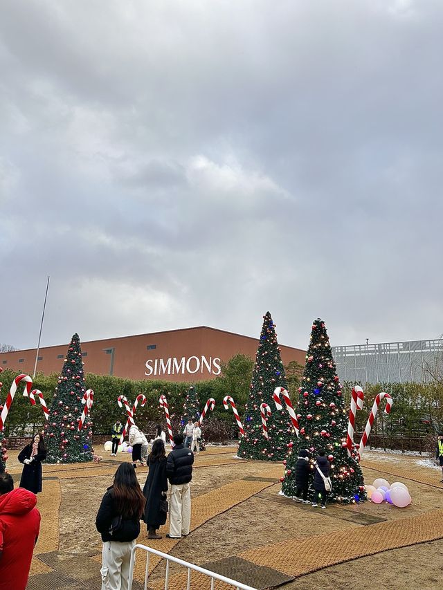 겨울 여행지로 추천하는 이천 시몬스테라스🎅🏻🎅🏻