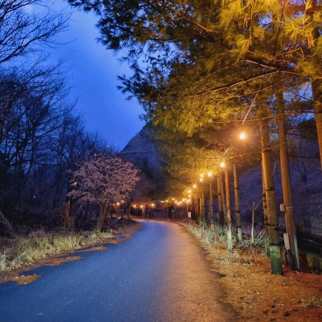 감성 터지는 카라반에서 맞이하는 고요한 아침🏕