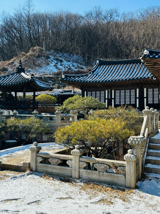 【韓国ドラマ好きにおすすめ！】龍仁大長今パーク🇰🇷