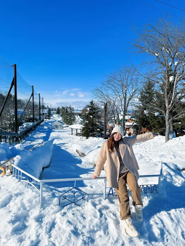 【北海道旅遊】旭山動物園企鵝仔巡遊，join day tour省心