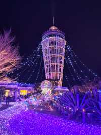 Enoshima Sea Candle