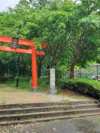 Hachimanyama Park Adventure Bridge 