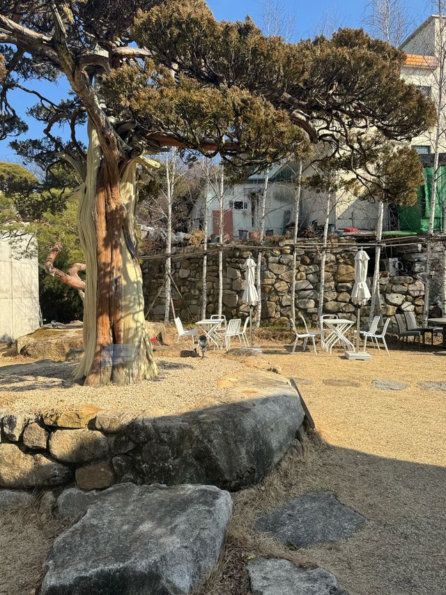 정원이 정말 멋스러웠던 헤이마 카페 