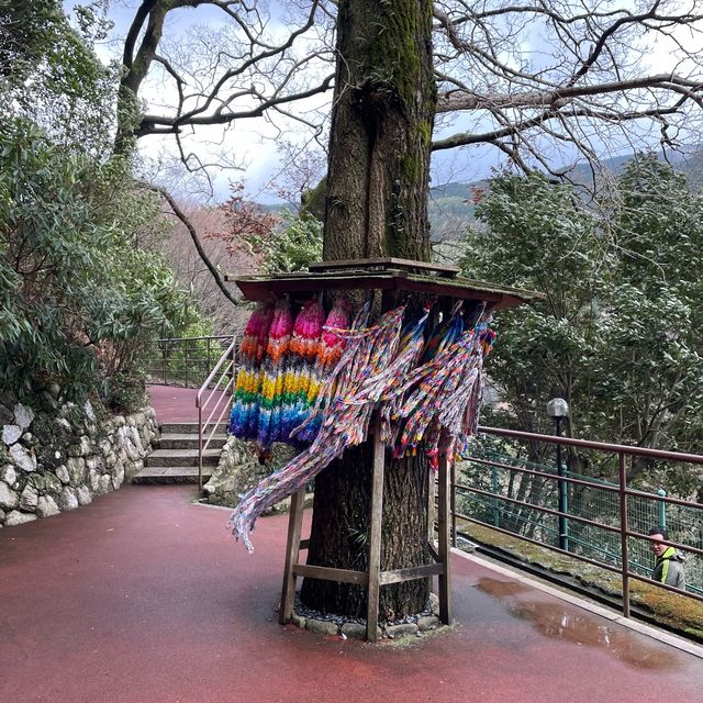 福岡南藏院：世界最大青銅佛像，必去打卡點