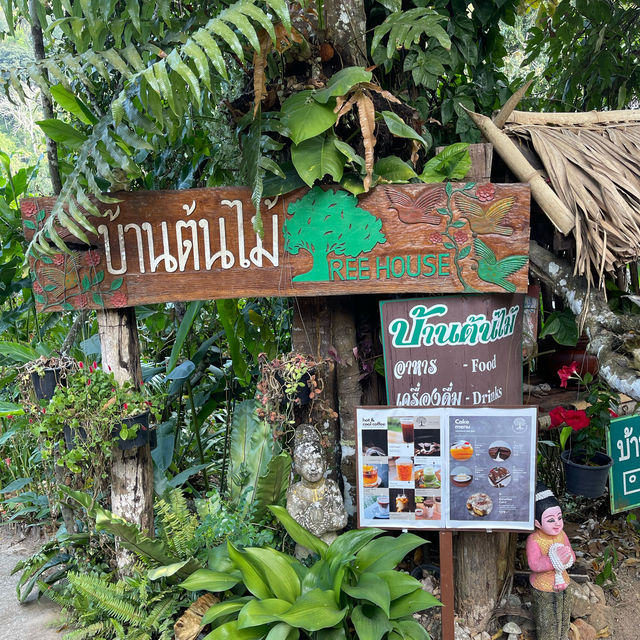 บ้านต้นไม้ แม่แมะ