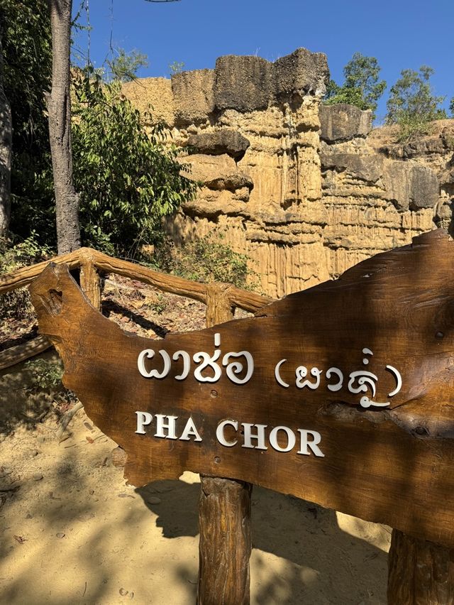 🇹🇭 ‘ผาช่อ’ ที่เที่ยวเชียงใหม่ที่ไม่ควรพลาด
