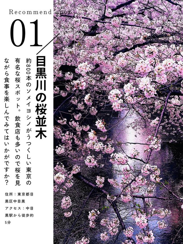 東京おすすめ桜スポット5選