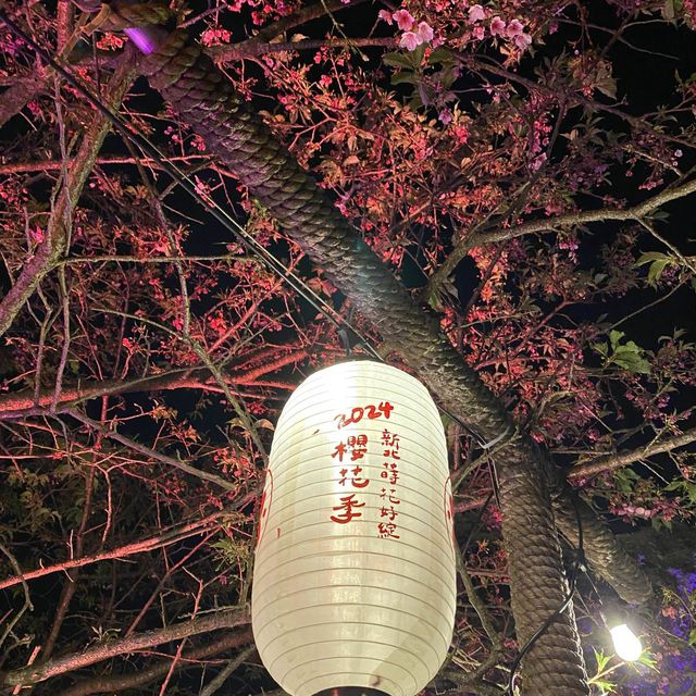 天元宮夜櫻-2024新北景點