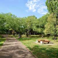 Tamagawa Park