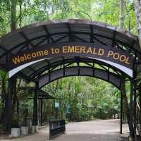 The Emerald Pool Hot Spring