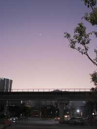 東部華僑城森林小火車，高空欣賞小瑞士