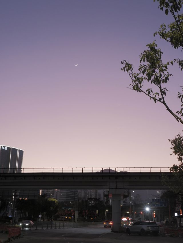 東部華僑城森林小火車，高空欣賞小瑞士