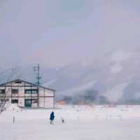 白馬站：滑雪服、住宿、餐廳一應俱全，星巴克適合欣賞美景