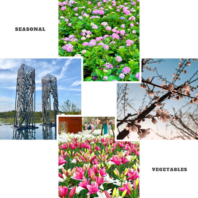 嶺南大地百草園：享受世外桃源的寧靜