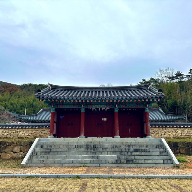 연꽃, 배롱나무, 동백 등을 볼 수 있는 담양의 유적지