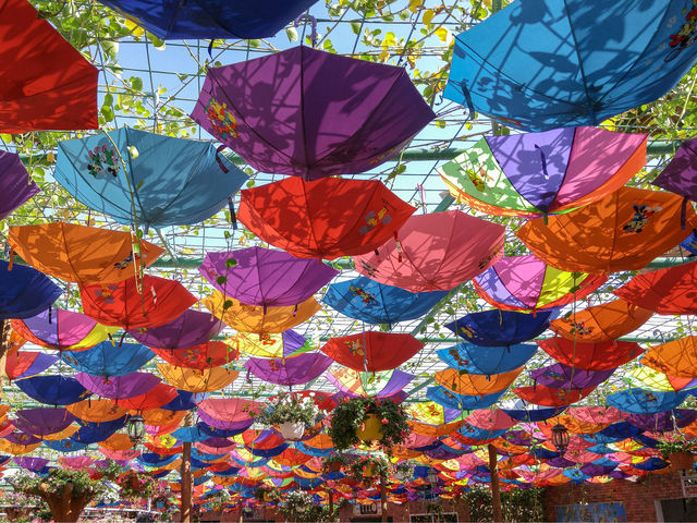 Dubai Miracle Garden: Floral Wonderland