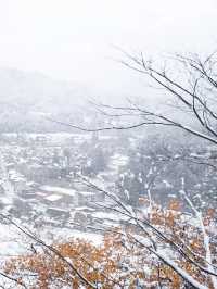 พาไปชมหมู่บ้านมรดกโลก Shirakawa-go❄️☃️