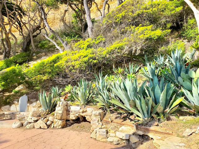 Royal Palms Beach Park