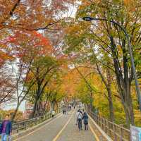 Fall-ing in Namsan Tower