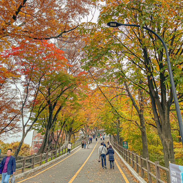 Fall-ing in Namsan Tower