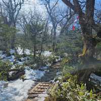 한발한발 올라 한라산 정상에 도착!! 