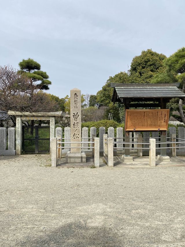 霊松が有名な曽根天満宮