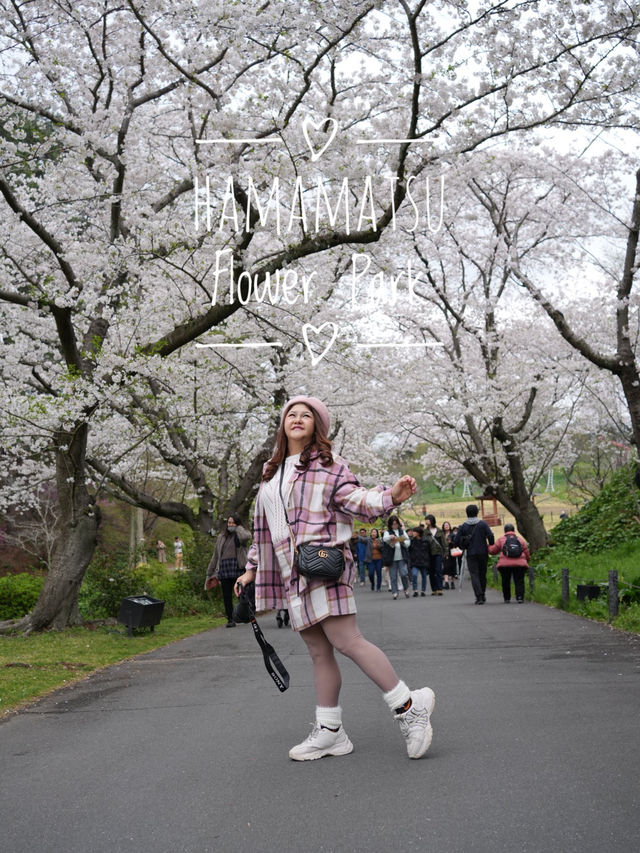 Hamamatsu Flower Park สวนดอกไม้ซากุระบานฉ่ำ