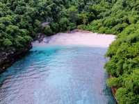  Snorkeling & Scuba Diving Paradise🤿