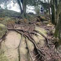 Hiking in Yuan Shan hiking trail