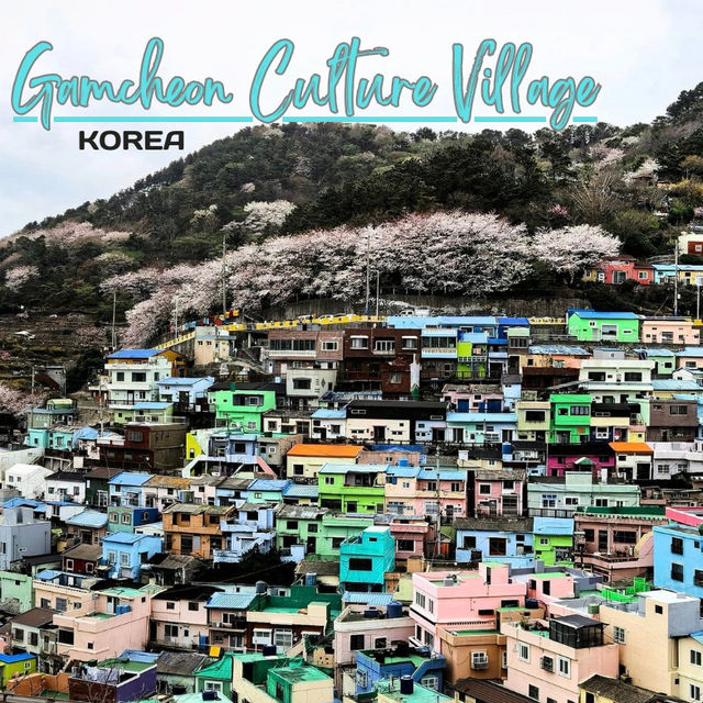 Rainbow Haven-Gamcheon Culture Village