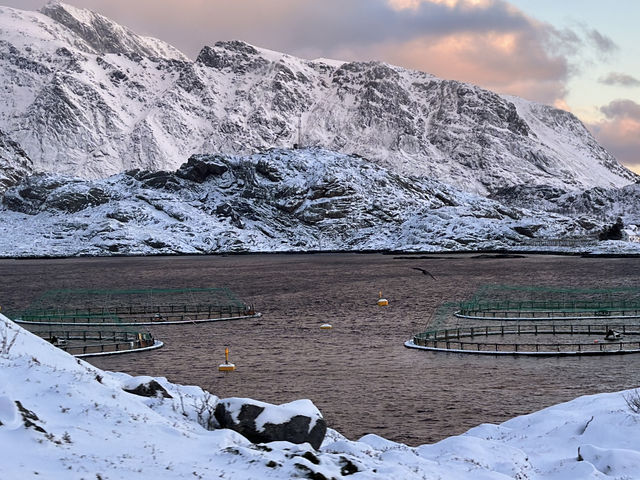 🇳🇴Lofoten | 孤獨星球的封面-羅弗敦群島