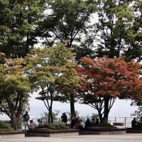 ดูวิวนัมซาน ทาวเวอร์ (N Seoul Tower)