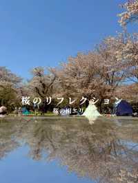 国営昭和記念公園　桜の園エリアご紹介