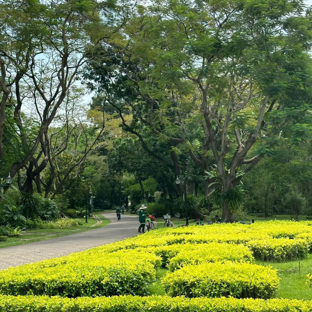 花柏山公園：綠意樂園，享受自然韻味