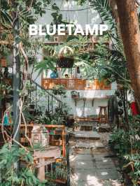 BLUETAMP CAFE