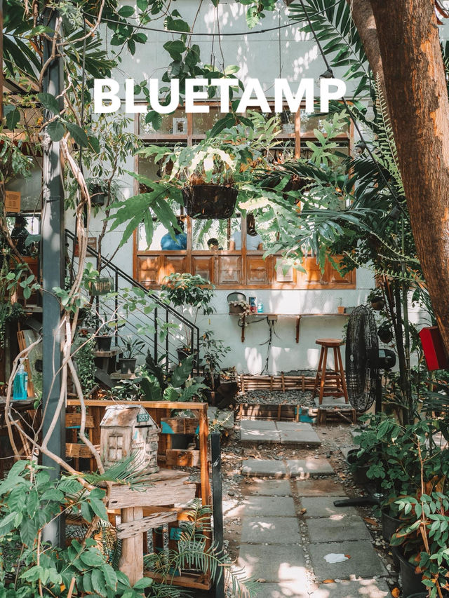 BLUETAMP CAFE