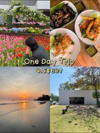✨ รวมที่เที่ยวแบบ One Day Trip | จ.ระยอง