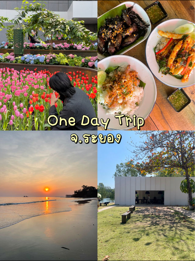 ✨ รวมที่เที่ยวแบบ One Day Trip | จ.ระยอง