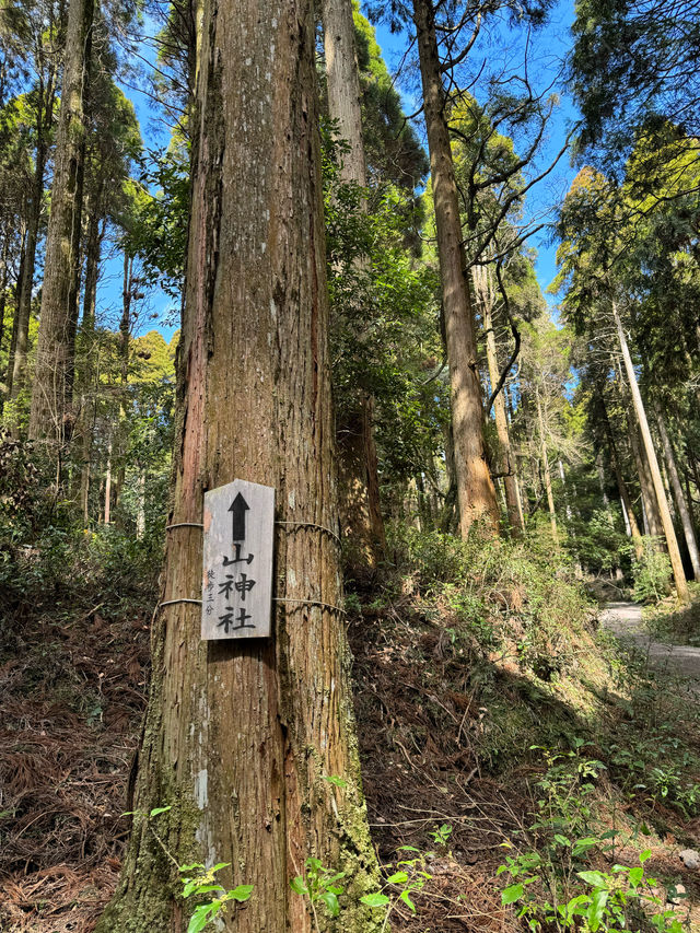 【鹿児島】国宝・霧島神宮