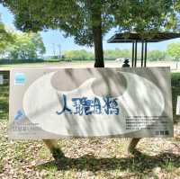 滋賀でキャンプ✨琵琶湖のほとりで無料でキャンプできるちゃう！