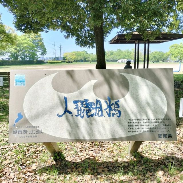 滋賀でキャンプ✨琵琶湖のほとりで無料でキャンプできるちゃう！
