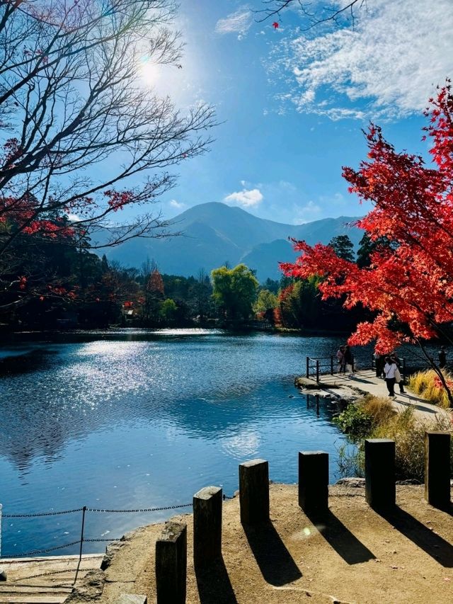 Beautiful Autumn Vibes in Kinrin Lake