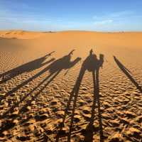 Sahara Desert - what to expect in a place with only sand