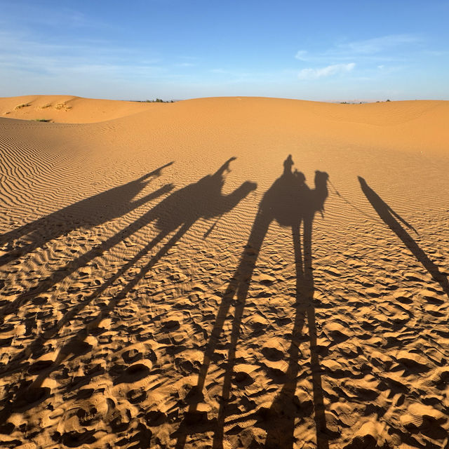 Sahara Desert - what to expect in a place with only sand