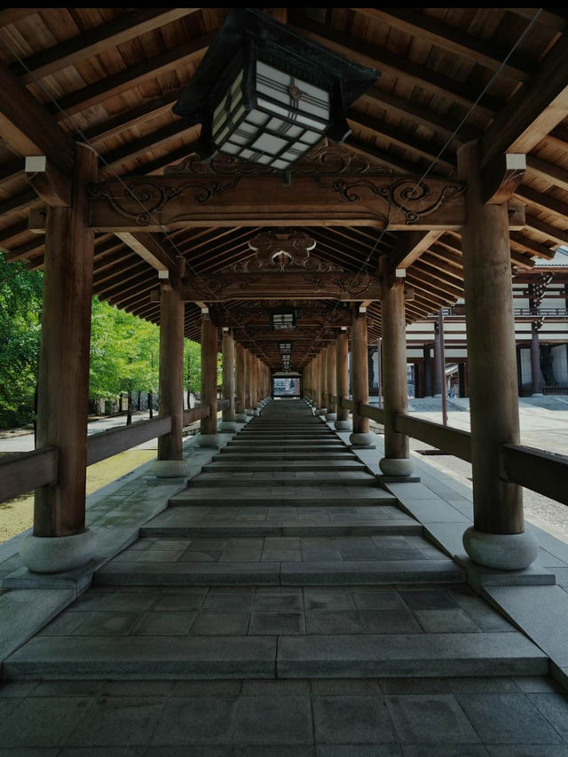 【福井】全てが企画外‼️息を呑むほど壮大かつ荘厳な寺院を紹介🔍