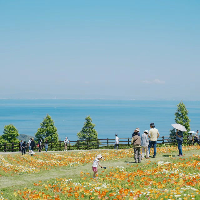 瀨底島：湛藍海域，潛水勝地，春天好去處